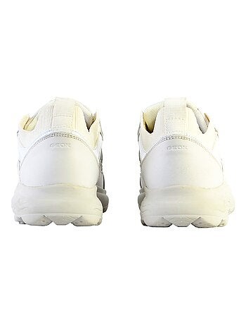 Basket Geox Cuir Spherica C - Nap+Knitt