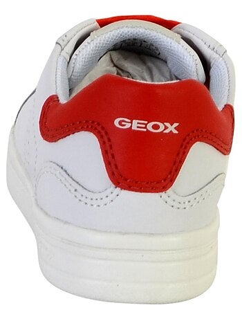 Basket Geox Djrock B
