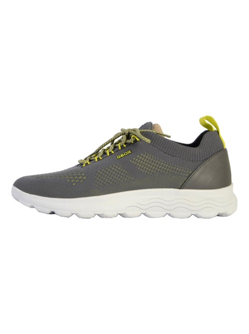 Basket Geox Spherica Homme - Kiabi
