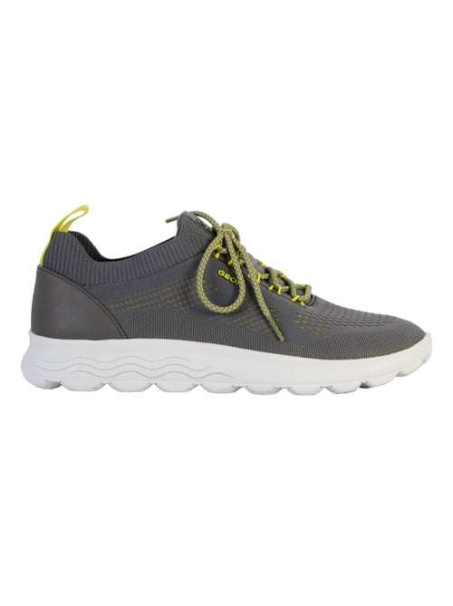 Basket Geox Spherica Homme - Kiabi