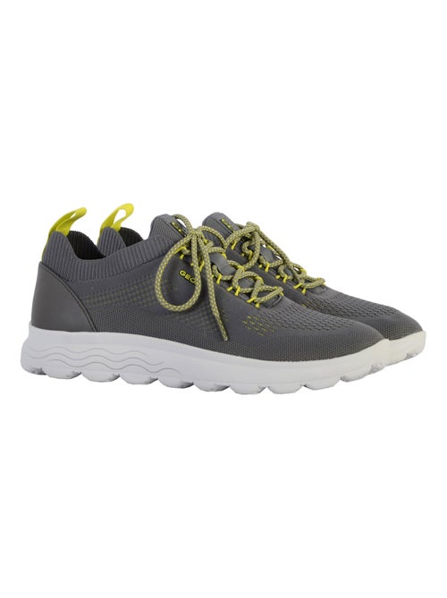 Basket Geox Spherica Homme - Kiabi