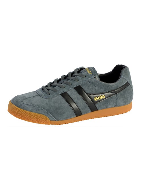 Basket Gola Harrier Suede - Kiabi
