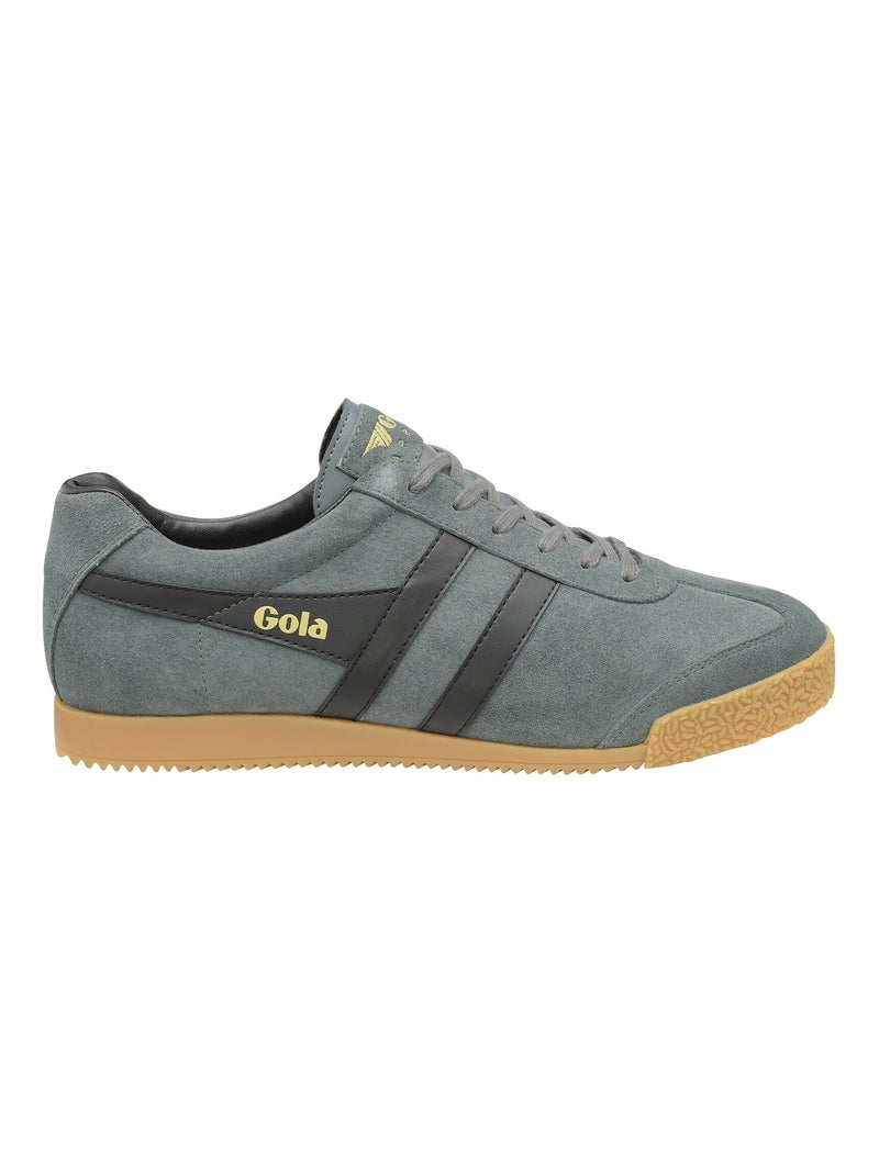 Basket Gola Harrier Suede Gris - Kiabi
