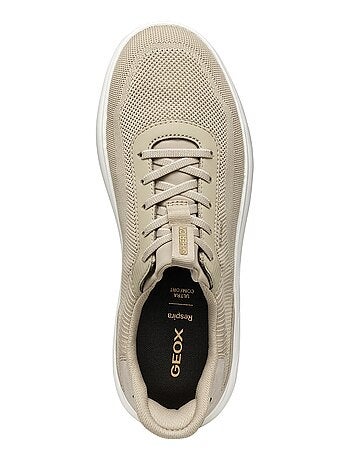 Basket Mode Homme Geox