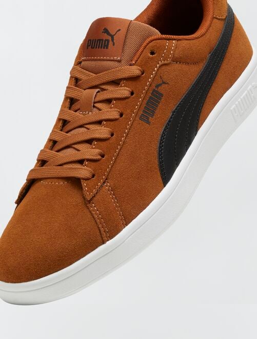 Basket puma best sale camel