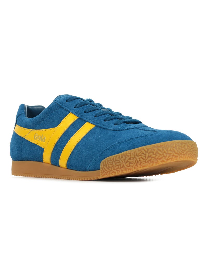 Baskets Gola Harrier Suede Bleu Jaune - Kiabi