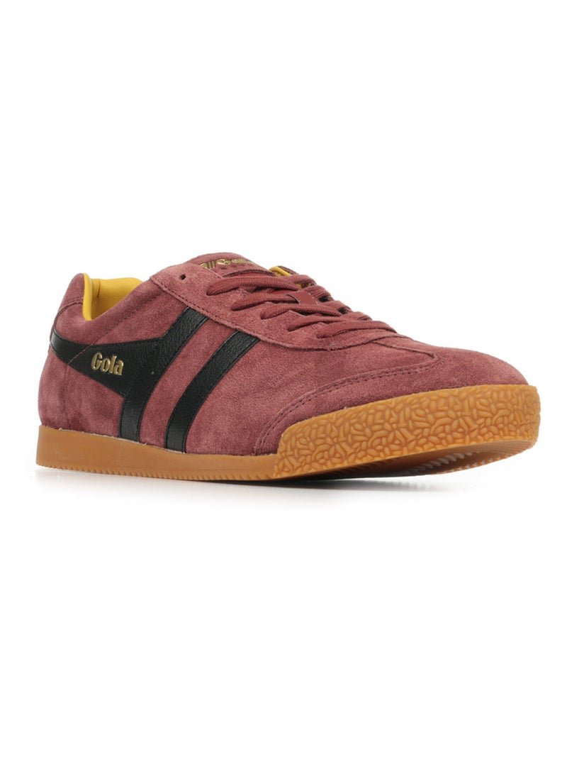 Baskets Gola Harrier Suede Bordeaux - Kiabi