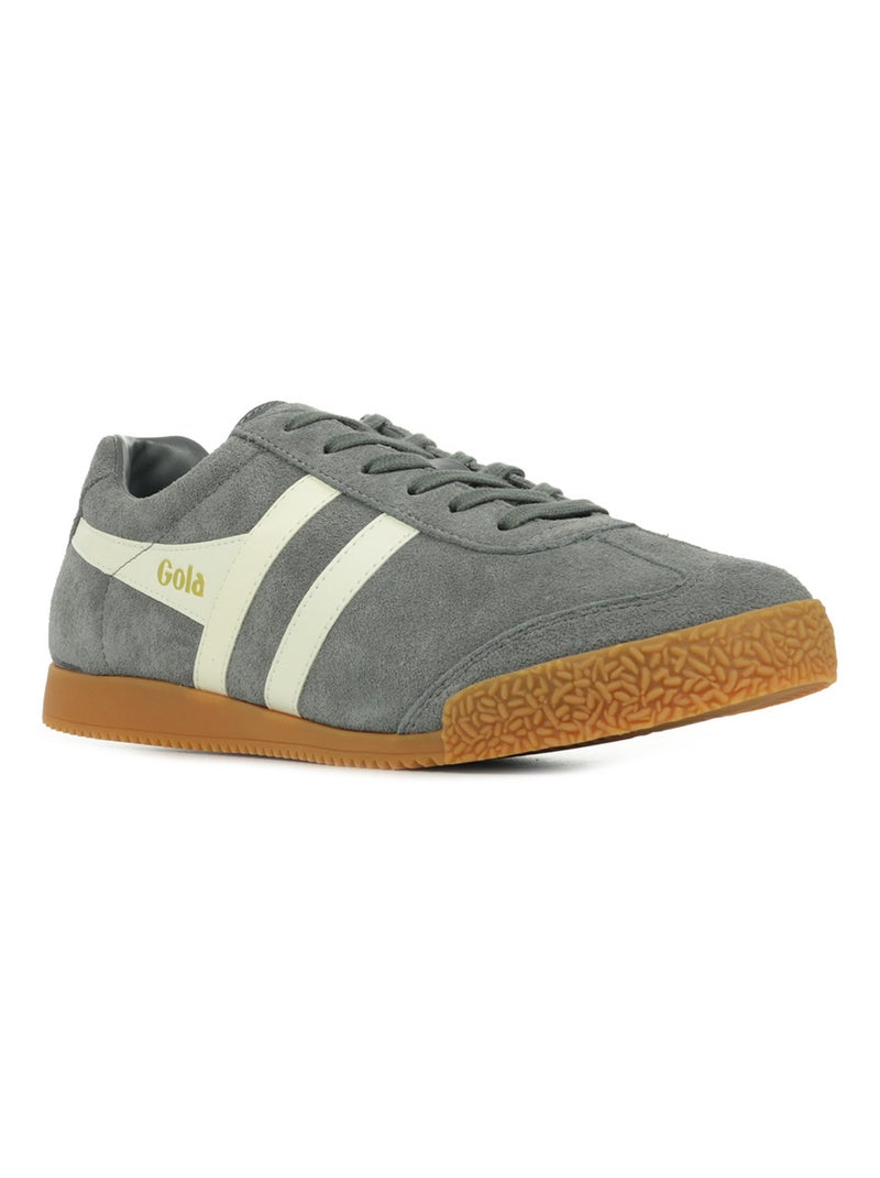 Baskets Gola Harrier Suede Gris Blanc - Kiabi