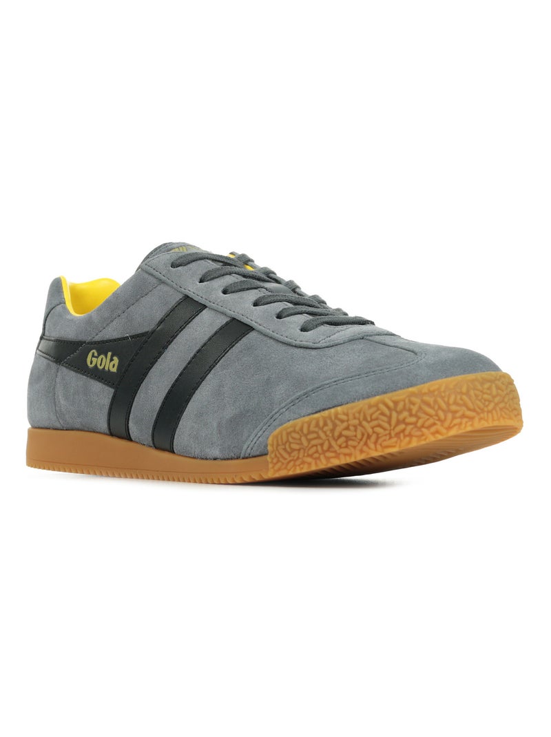 Baskets Gola Harrier Suede Gris Noir - Kiabi