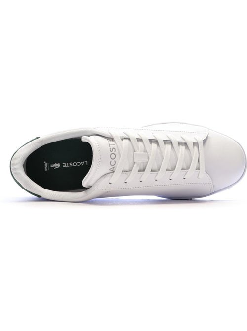 Baskets Homme Lacoste - Kiabi