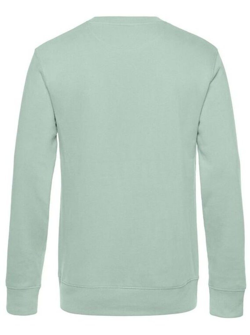 B&C Pull à col ras du cou King pour hommes Vert clair - Kiabi