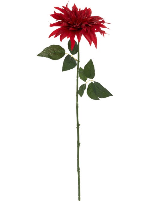 BCH DAHLIA ROUGE H68 - Kiabi