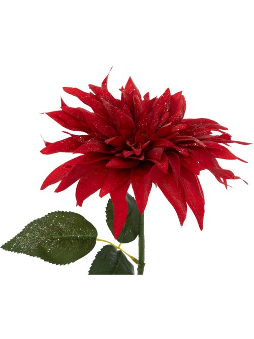 BCH DAHLIA ROUGE H68 - Kiabi