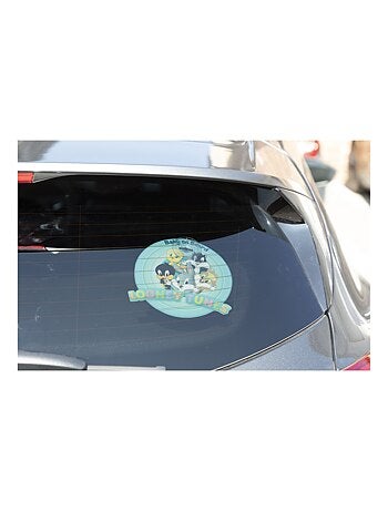 Bébé à bord, panneau de sécurité voiture Looney Tunes Warner Bros avec ventouse, graphismes colorés