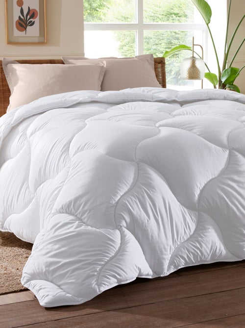 Becquet - Couette légère QUALLOFIL ALLERBAN en coton - Kiabi Becquet - Couette légère QUALLOFIL ALLERBAN en coton - Kiabi