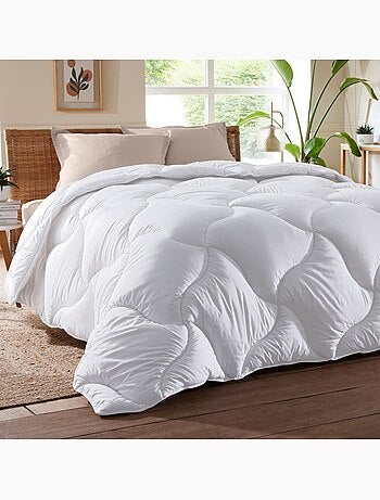 Becquet - couette tempérée quallofil allerban en coton