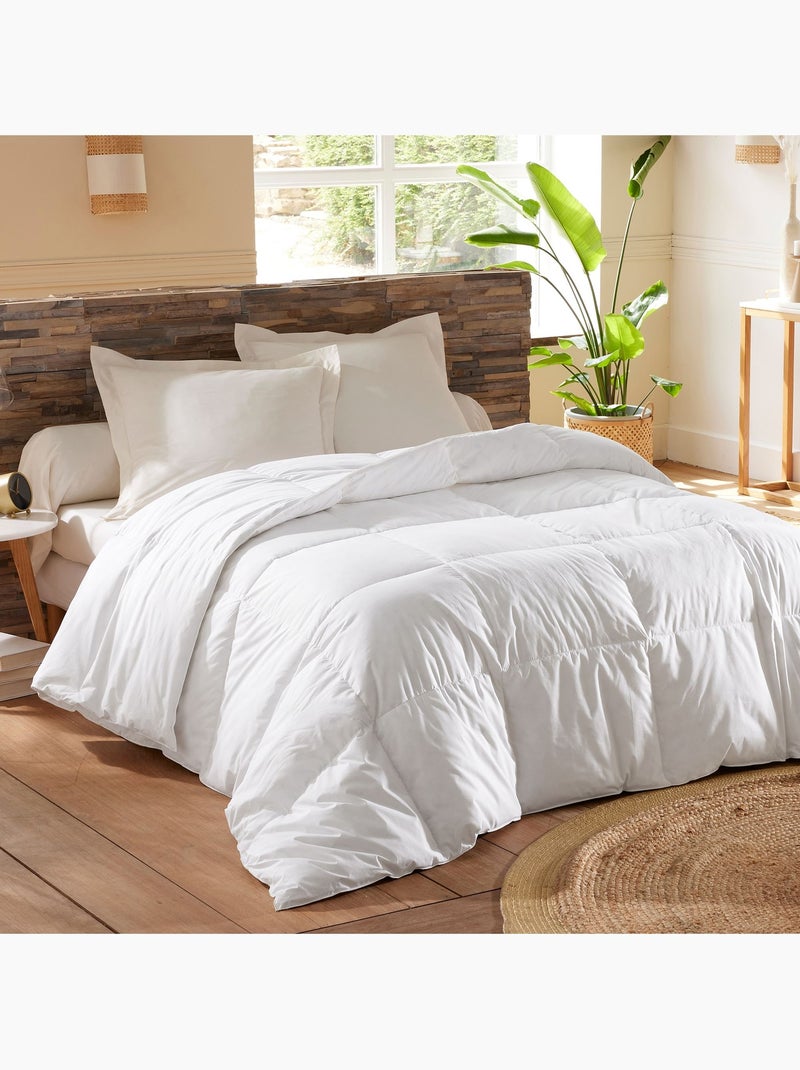Becquet - Couette très chaude DUVET CANARD EDONA 90% en coton Blanc - Kiabi