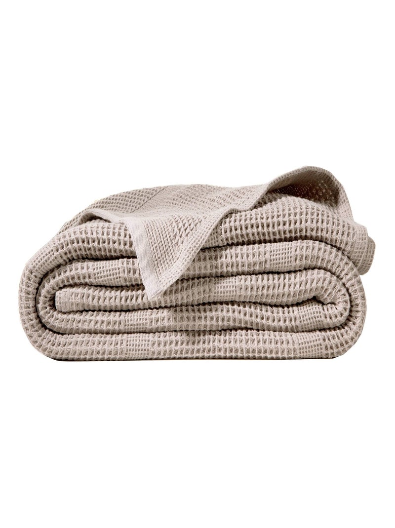 Becquet - Couverture tempérée COTON NID D'ABEILLE en coton Gris Argenté - Kiabi