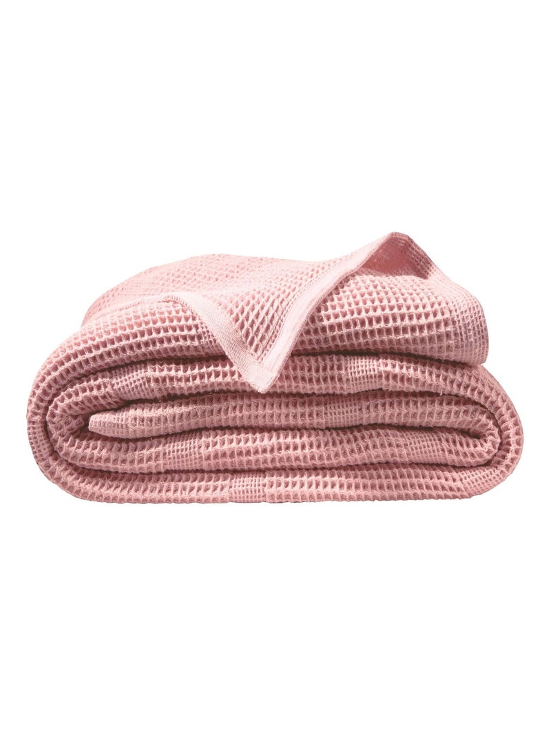 Becquet - Couverture tempérée COTON NID D'ABEILLE en coton Rose clair - Kiabi