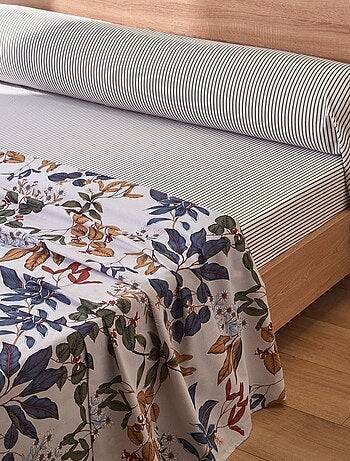 Becquet - Drap-housse ECUREUIL en coton