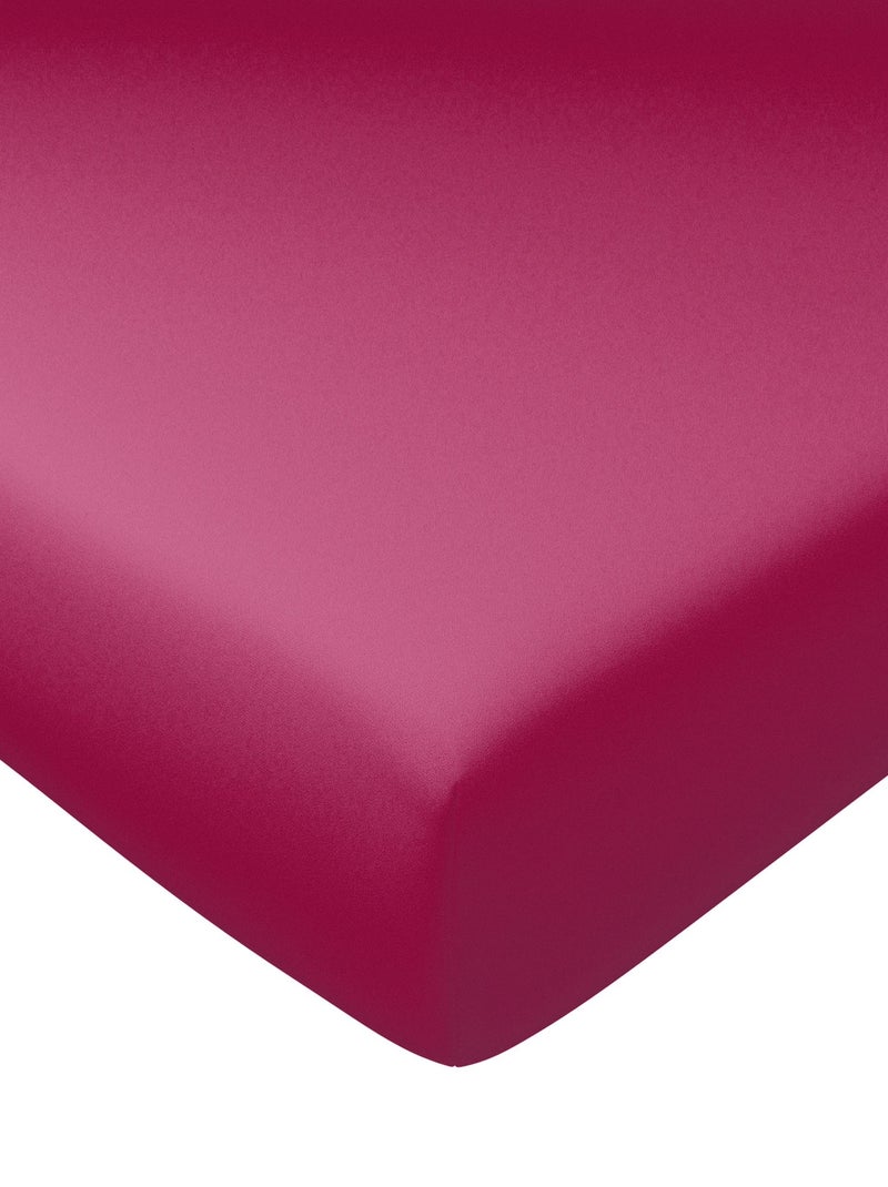 Becquet - Drap-housse grand bonnet DH. COTON SUPER GD B en coton Rose fushia - Kiabi