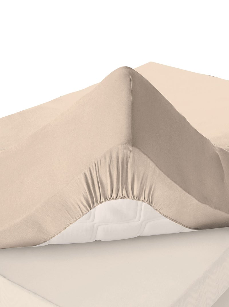Becquet - Drap-housse grand bonnet Grands bonnets en coton Beige sable - Kiabi