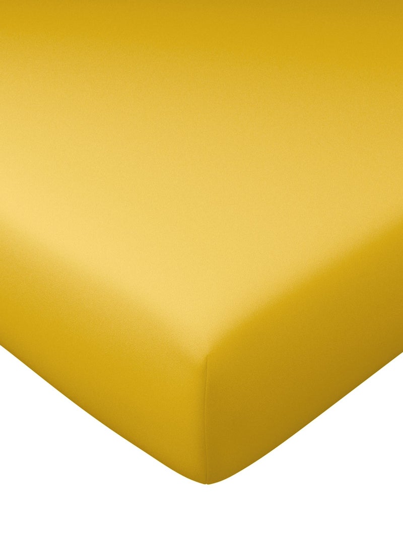 Becquet - Drap-housse grand bonnet Grands bonnets en coton Jaune foncé - Kiabi