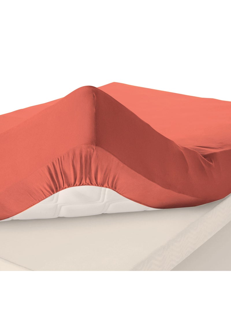 Becquet - Drap-housse grand bonnet Grands bonnets en coton Saumon - Kiabi