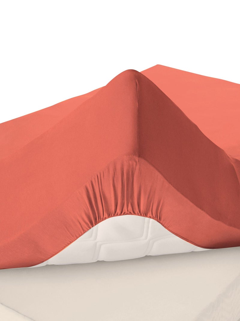 Becquet - Drap-housse grand bonnet Grands bonnets en coton Saumon - Kiabi