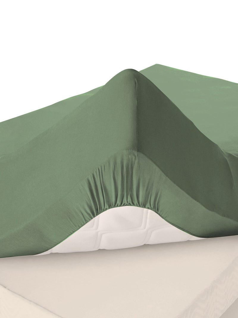 Becquet - Drap-housse grand bonnet Grands bonnets en coton Vert foncé - Kiabi