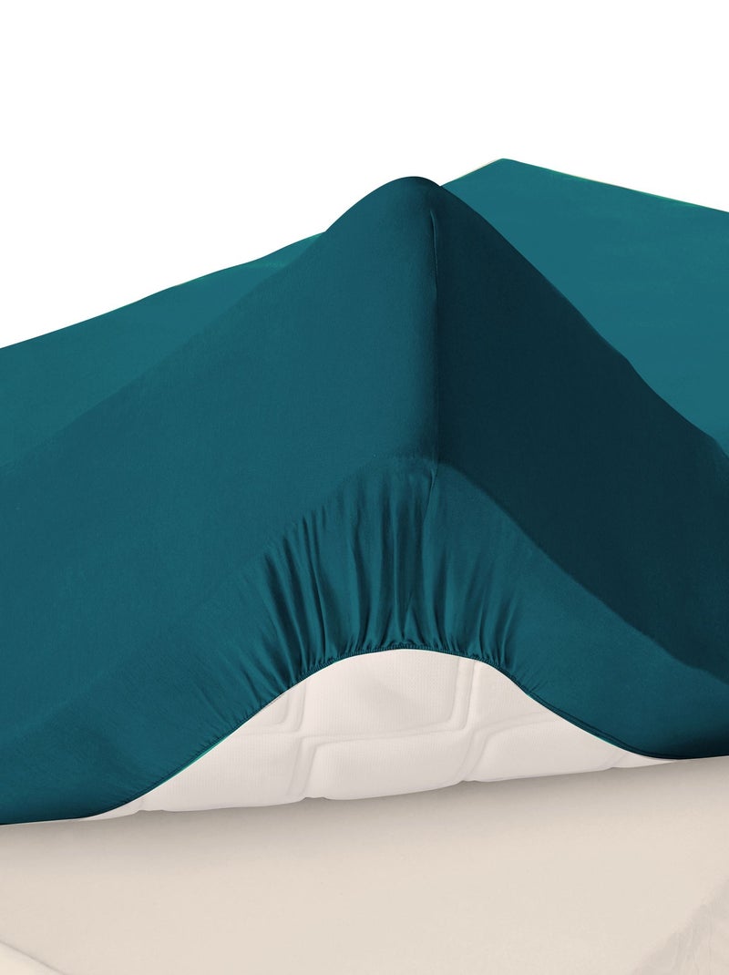 Becquet - Drap-housse grand bonnet PERCALE en coton Bleu canard - Kiabi