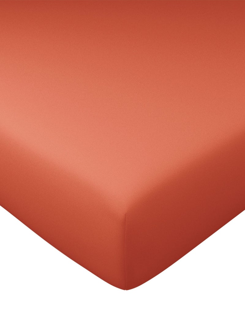 Becquet - Drap-housse grand bonnet PERCALE en coton Terracotta - Kiabi
