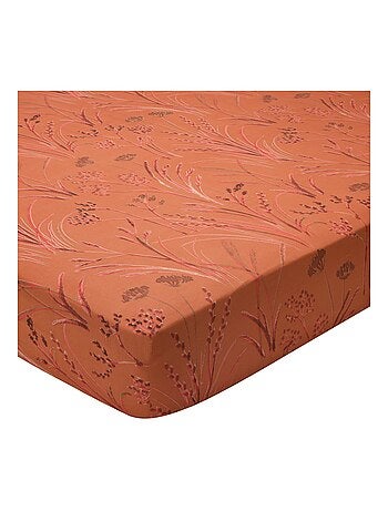 Becquet - Drap-housse SOUFFLE DE PAILLE en coton