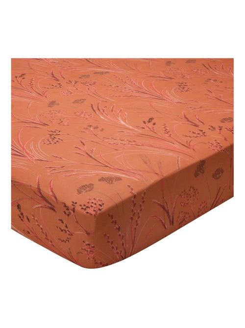 Becquet - Drap-housse SOUFFLE DE PAILLE en coton - Kiabi