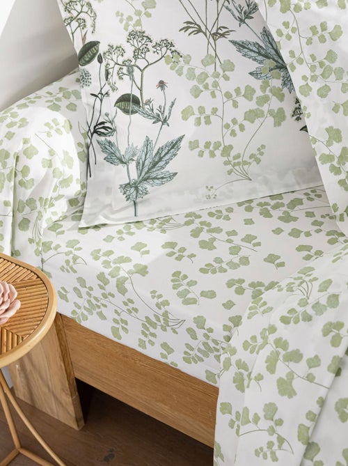 Becquet - Drap-housse VERONIKA en coton - Kiabi