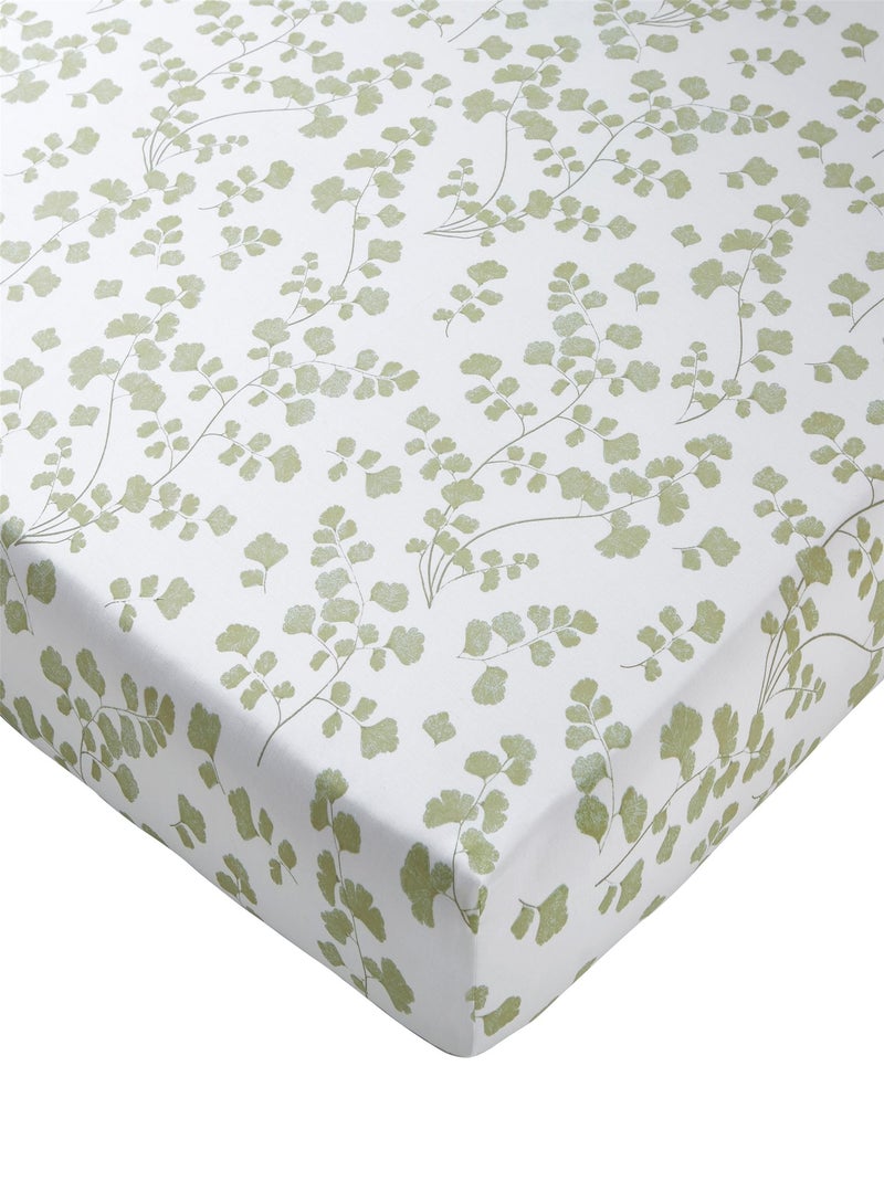 Becquet - Drap-housse VERONIKA en coton Vert - Kiabi