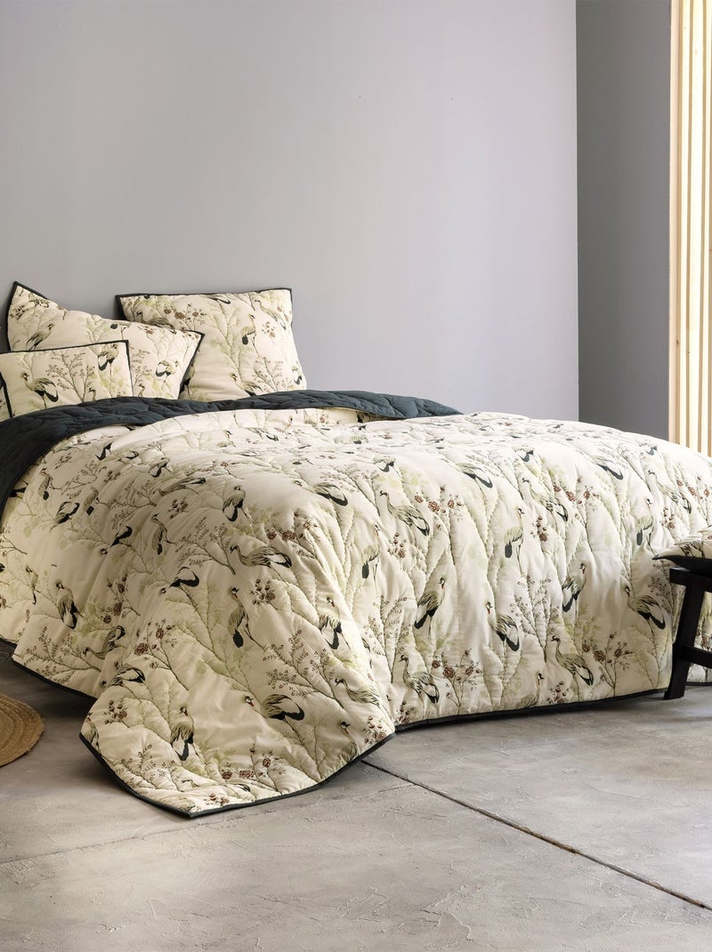 Becquet - Housse de coussin MIYA en coton Beige clair - Kiabi