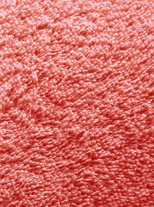 Becquet - Lot de 2 gant de toilette CLAIRE en coton - Kiabi