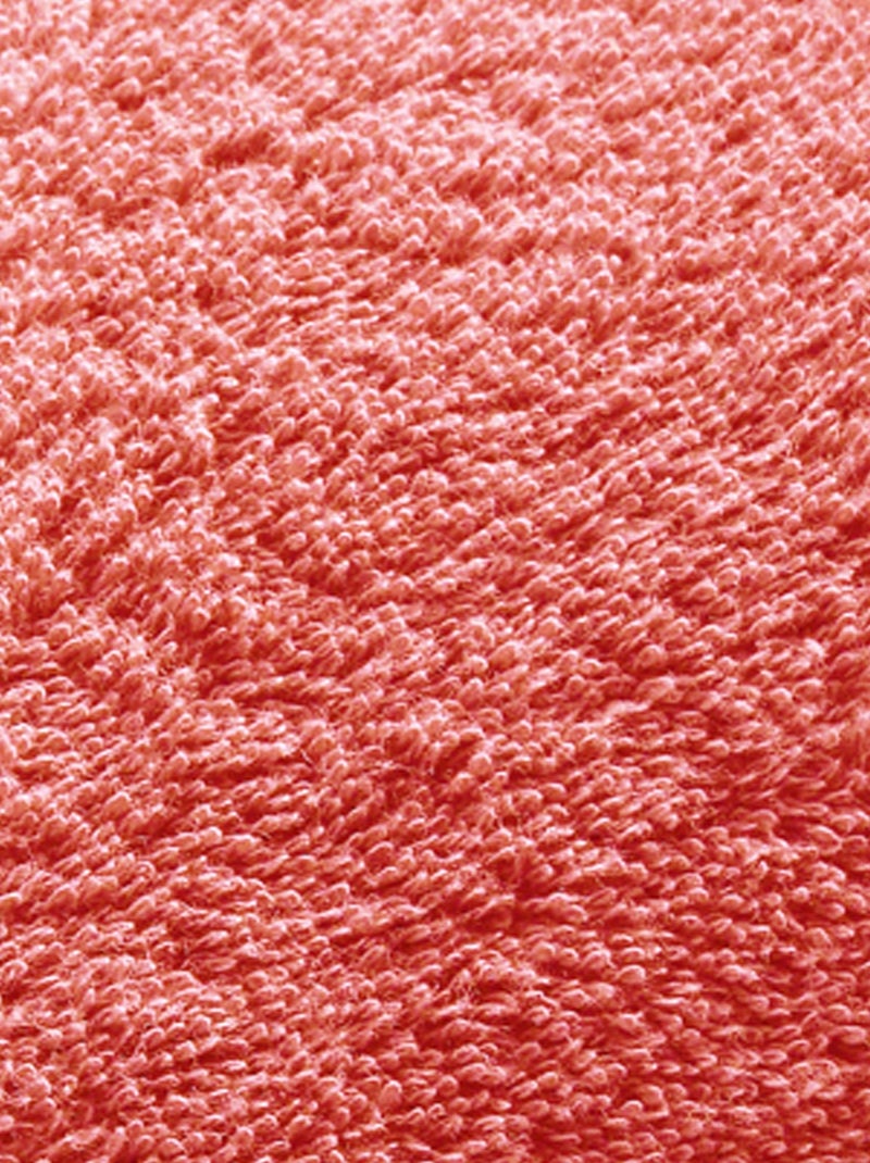 Becquet - Lot de 2 gant de toilette CLAIRE en coton Rose saumon - Kiabi