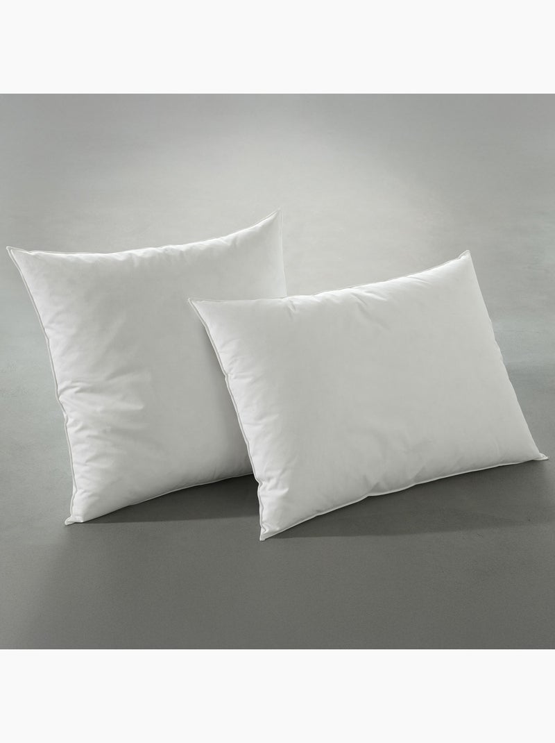 Becquet - Oreiller médium 30% DUVET CANARD GREENFIRST en coton Blanc - Kiabi