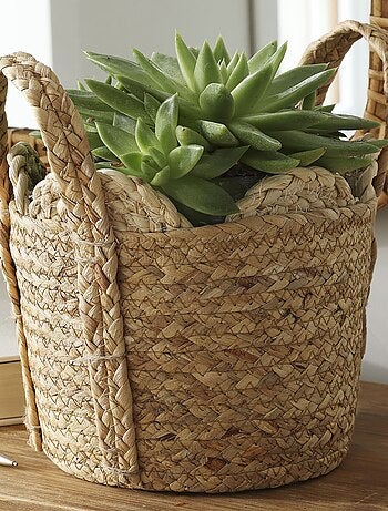 Becquet - Panier SIJOLI en végétale