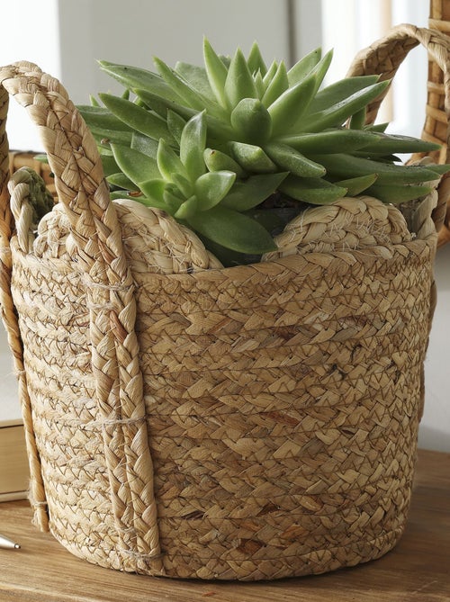 Becquet - Panier SIJOLI en végétale - Kiabi