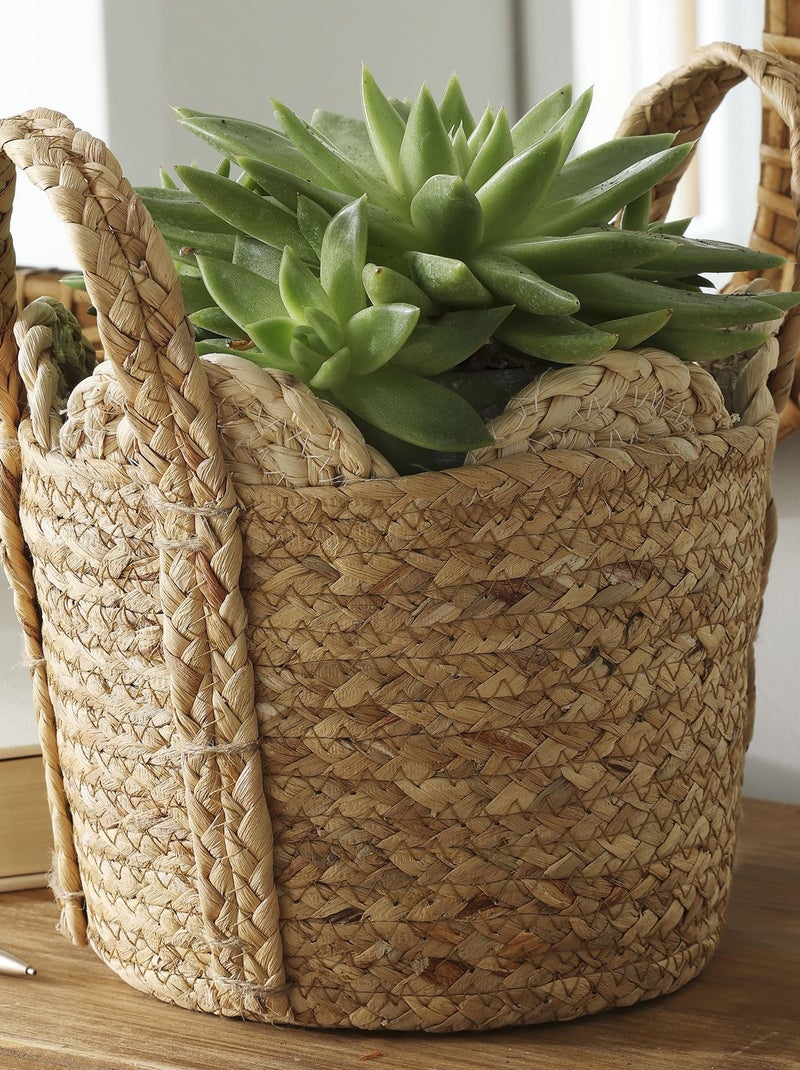 Becquet - Panier SIJOLI en végétale Beige - Kiabi