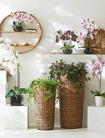 Becquet - Pot, cache-pot HOLM en résine