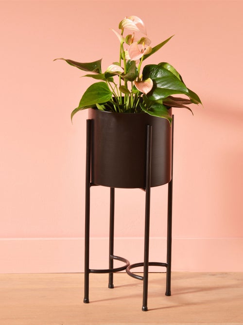 Becquet - Pot, cache-pot QUANT en métal - Kiabi