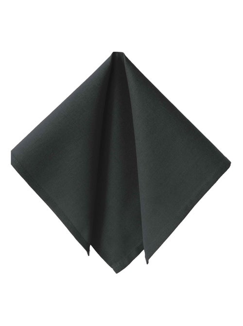 Becquet - Serviette de table LONA en coton - Kiabi