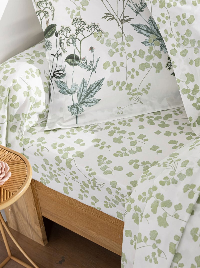 Becquet - Taie traversin VERONIKA en coton Vert - Kiabi