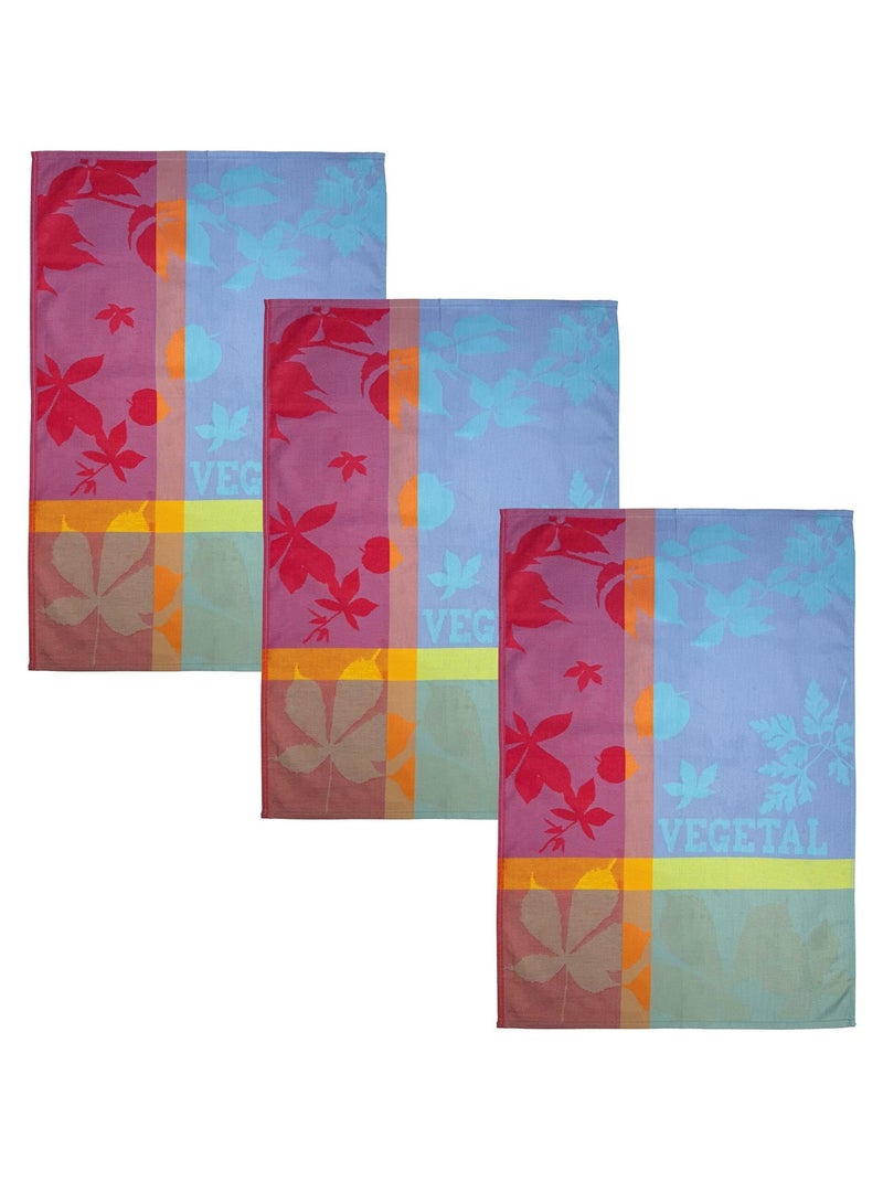 Becquet - Torchons ELDORADO en coton Multicolore - Kiabi