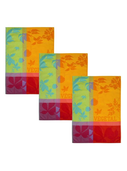 Becquet - Torchons ELDORADO en coton - Kiabi