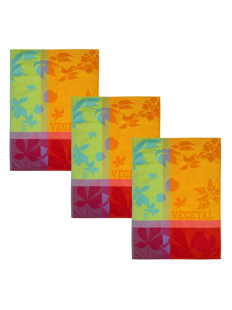 Becquet - Torchons ELDORADO en coton Multicolore - Kiabi